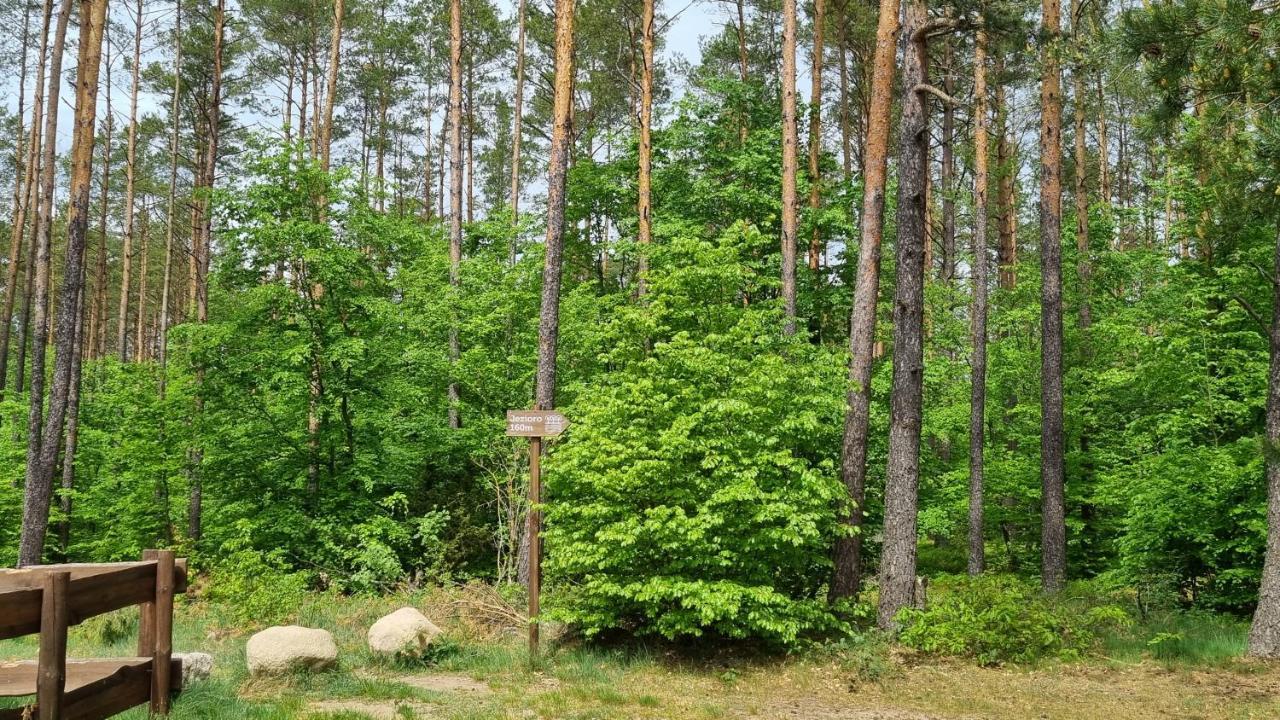 Ptasie Radio, Domek 48.2 Ostoja Bukowo Borowy Mlyn Extérieur photo